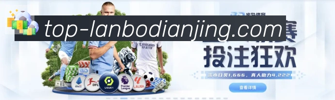 兰博电竞荣誉